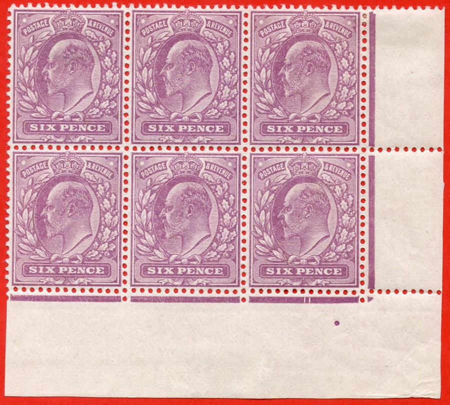 Latest Rare & Selected Items