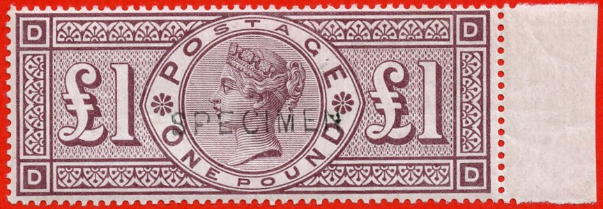 Latest Rare & Selected Items